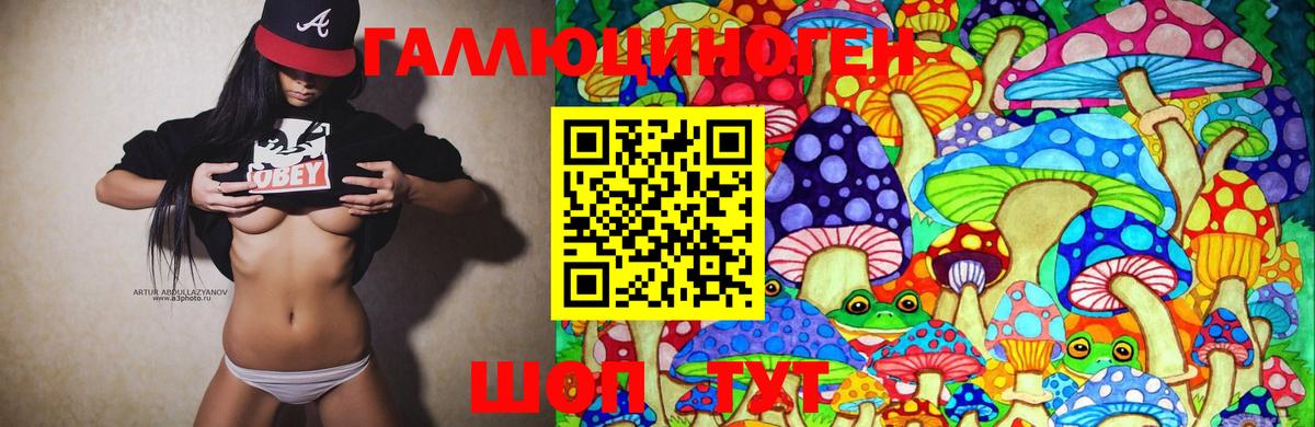 Псилоцибиновые грибы Magic Shrooms  Вход с VPN  Канаш 