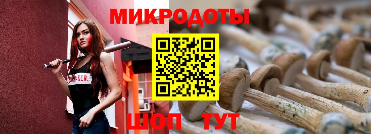 Галлюциногенные грибы мухоморы Канаш
