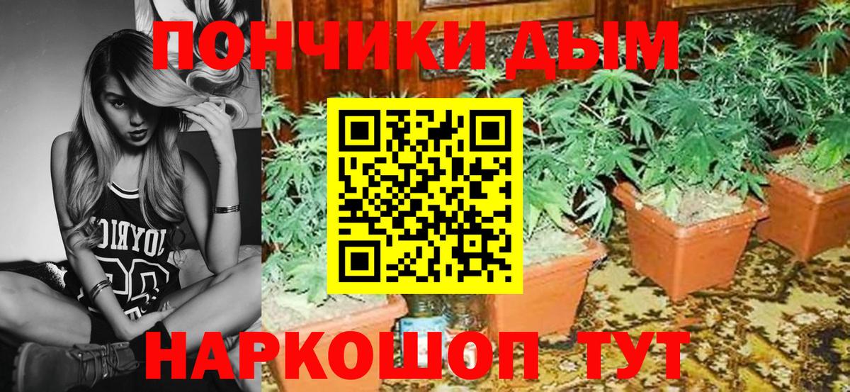 Шишки марихуана Bruce Banner  Вход с VPN  Каннабис гибрид  Шишки марихуана план  Канаш 